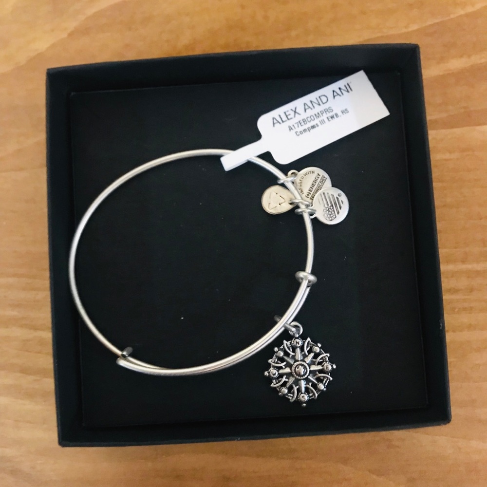 Alex and Ani Compass bracelet